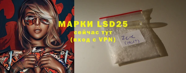 spice Вяземский